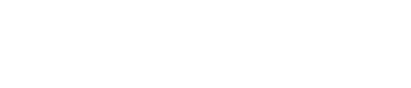logo technistone 01